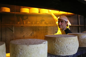 Visitas guiadas a las queserías del Gamonéu