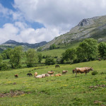 Parque Natural de Las Ubiñas – La Mesa