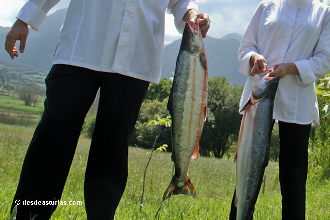 Subasta Campanu del Sella 2025