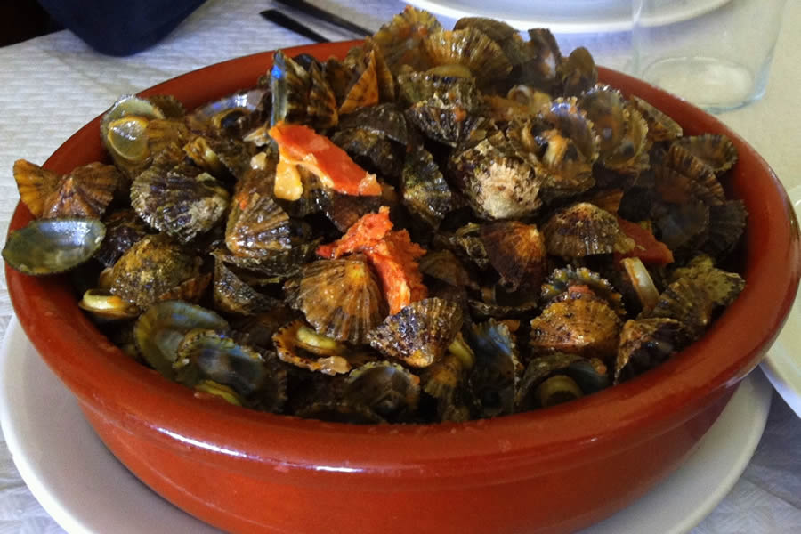 XXXVII Jornadas de las Llámparas 2025