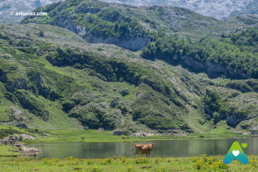 Die besten Routen von Asturien
