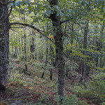 Ruta a Brañagallones