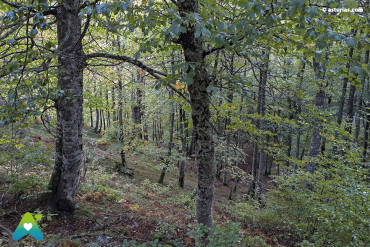 Route vers Brañagallones