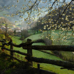 Casa de Aldea Los Riegos