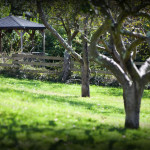 Casa rural El Pedrueco