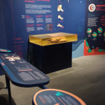 Museo del Calamar Gigante