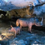 Centro de la Fauna Glacial