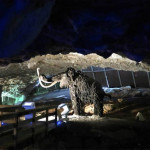 Centro de la Fauna Glacial