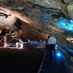 Centro de la Fauna Glacial