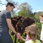 Actividades divertidas con niños en Onís