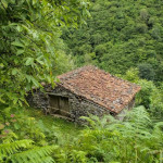 Ruta de los Molinos del río Tabardín