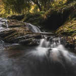 Ruta de los Molinos del río Tabardín