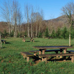 Senda ornitológica del río Güeña