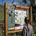 Senda ornitológica del río Güeña