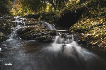 Route of the mills of the Tabardín river