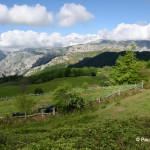 Parques Naturales de Asturias
