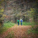 Hayedo de Monasterio de Hermo