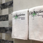 Apartamentos La Aguilerina