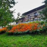 Casa rural la Curuxa