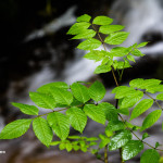 Teverga, qué ver y hacer