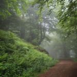 Teverga, qué ver y hacer