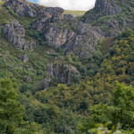 Hayedo de Montegrande