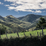 Hayedo de Montegrande