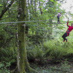 Aventura en los árboles