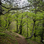 Ruta a la cascada del Tabayón