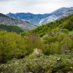 Ruta a la cascada del Tabayón