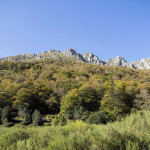 Ruta a la Vega Pociellu