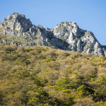 Ruta a la Vega Pociellu