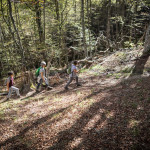 Ruta a la Vega Pociellu