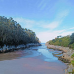 Tour guiado por los Bufones de Pría