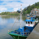 Tour guiado por Ribadesella