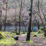 Ruta de los miradores del Navia