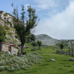 La ruta de las majadas