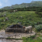 La ruta de las majadas