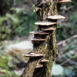 La senda del Valle Invisible