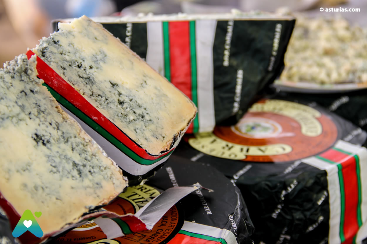 Visita guiada a un microllagar y el pueblo donde está situado, y degustación de sidra ecológica y quesos artesanos de la zona