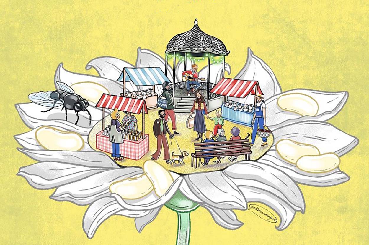 Primera Flor de Grao 2025