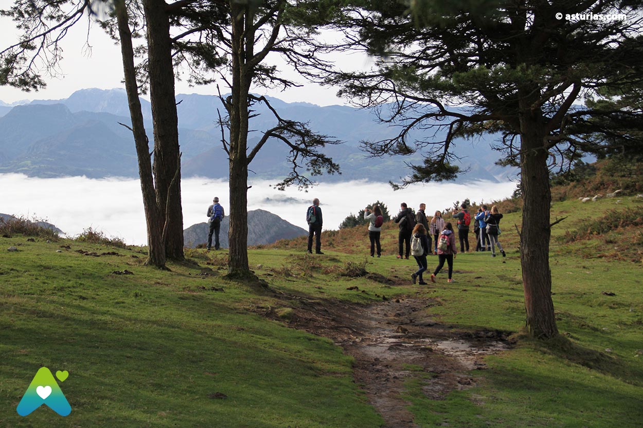 XXVIII Jornadas del Sueve 2025