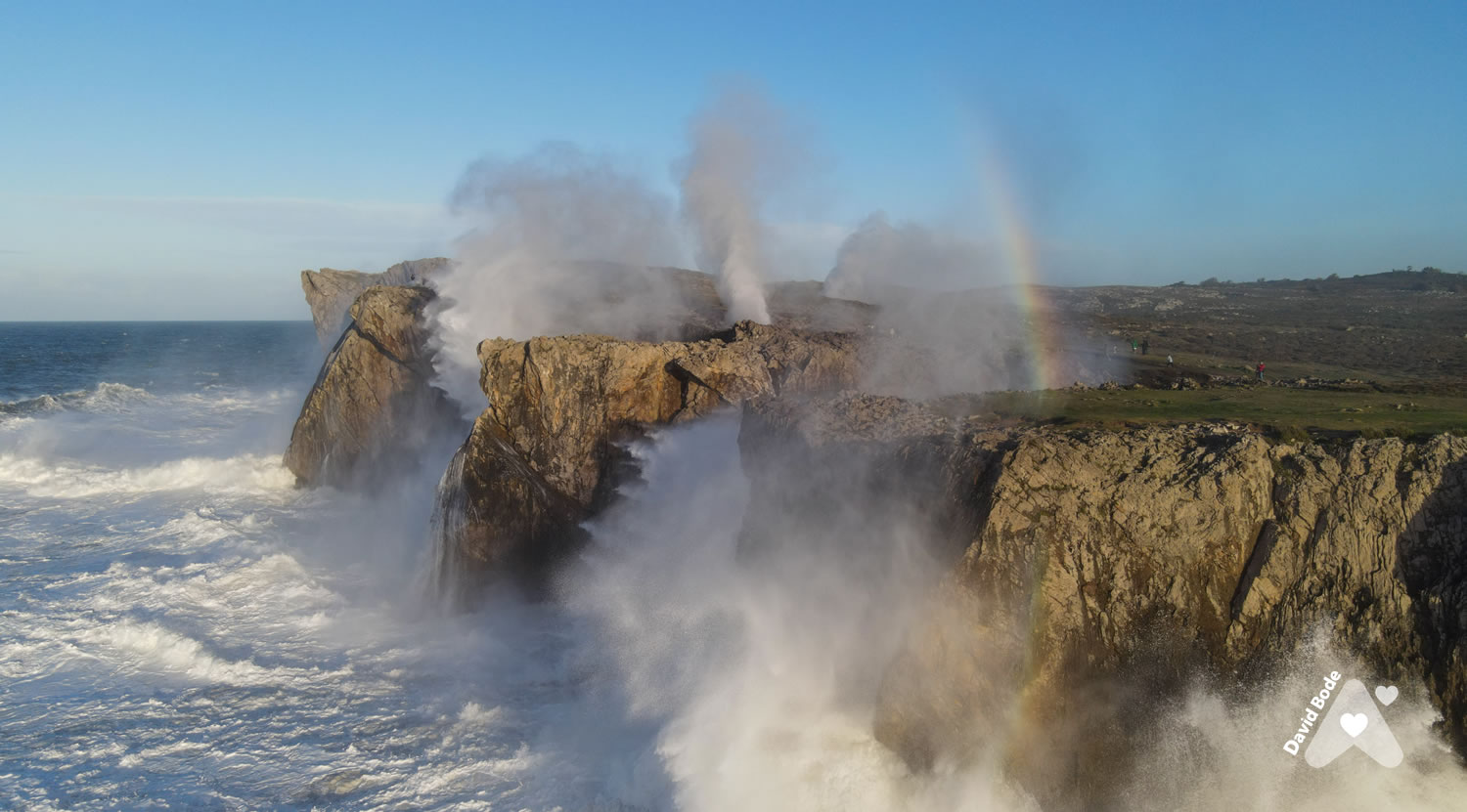 ir a BUFONES de PRÍA BUFONES de PRÍA