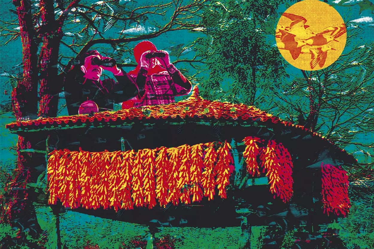 V Festival Oriéntate Llanes