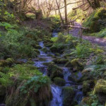 Ruta del agua Taramundi