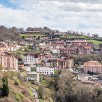 Tineo