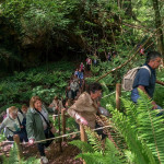Las Cuevas de Andía