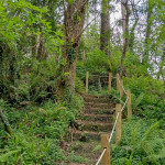Las Cuevas de Andía