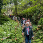 Las Cuevas de Andía