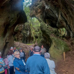 Las Cuevas de Andía